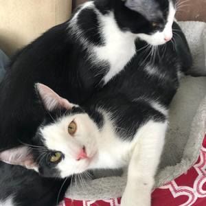 Meet your Posher, Jackie